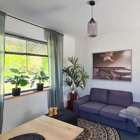 Studio Tussen De Bossen En De Bollenvelden Нордвейкерхаут Екстериор снимка